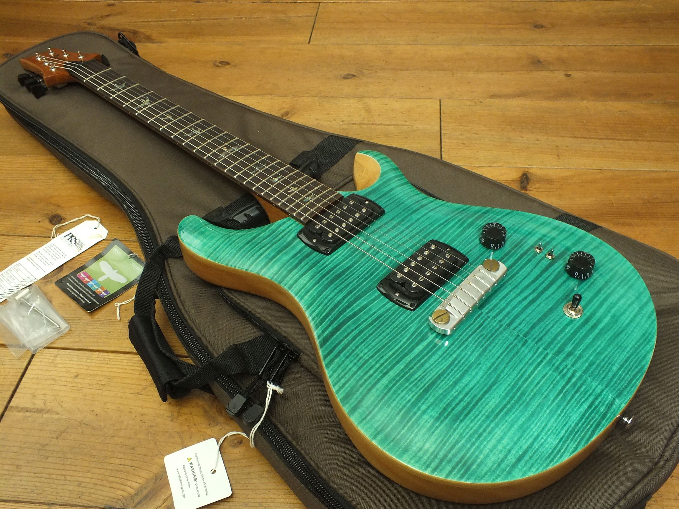 PRS SE Paul's Guitar